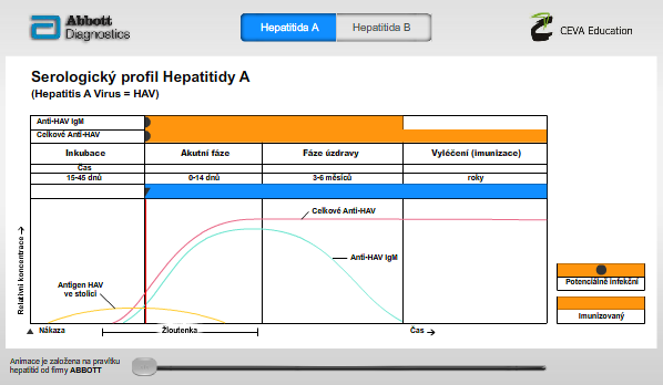 Virové hepatitidy - interaktivní pravítko 