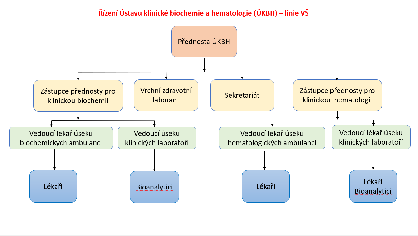Organizační schéma VŠ