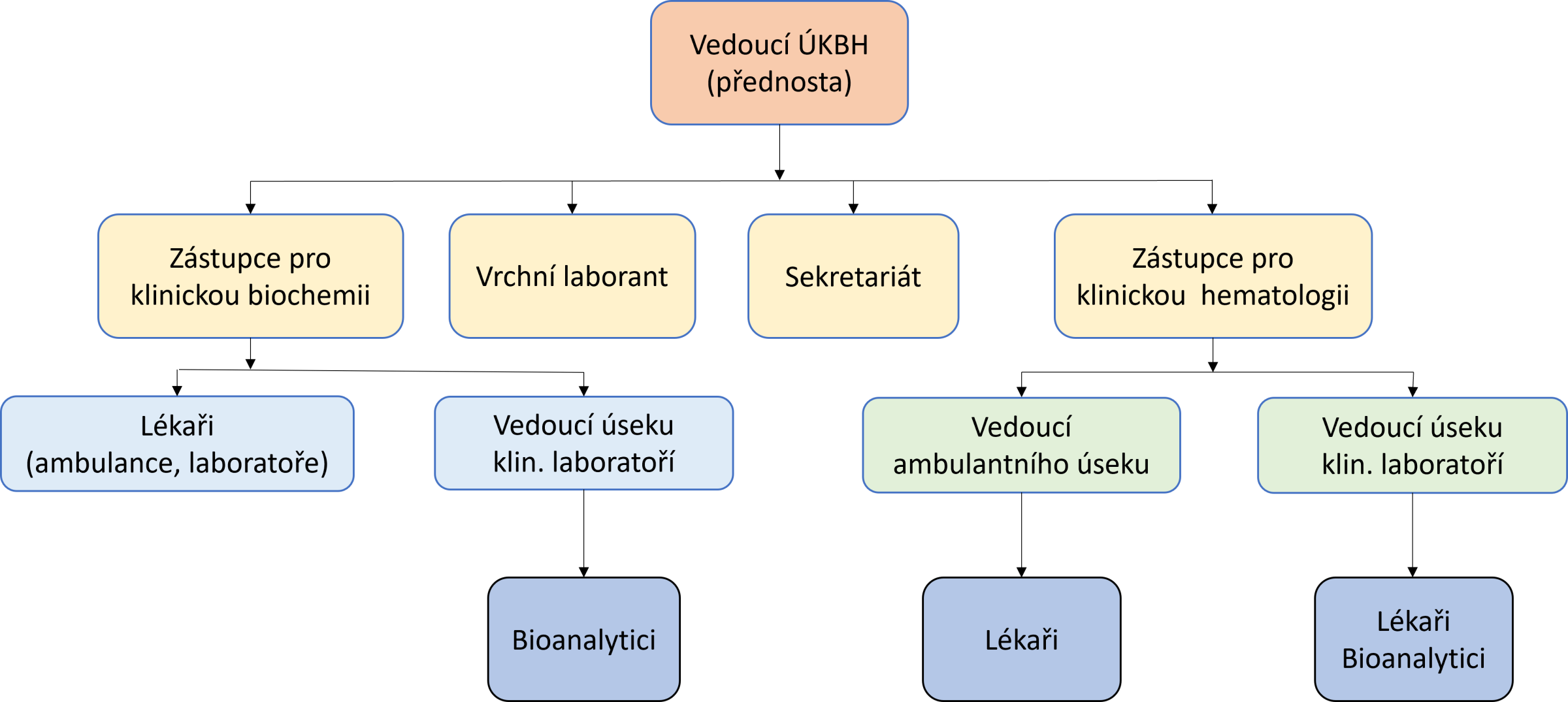Organizační schéma VŠ